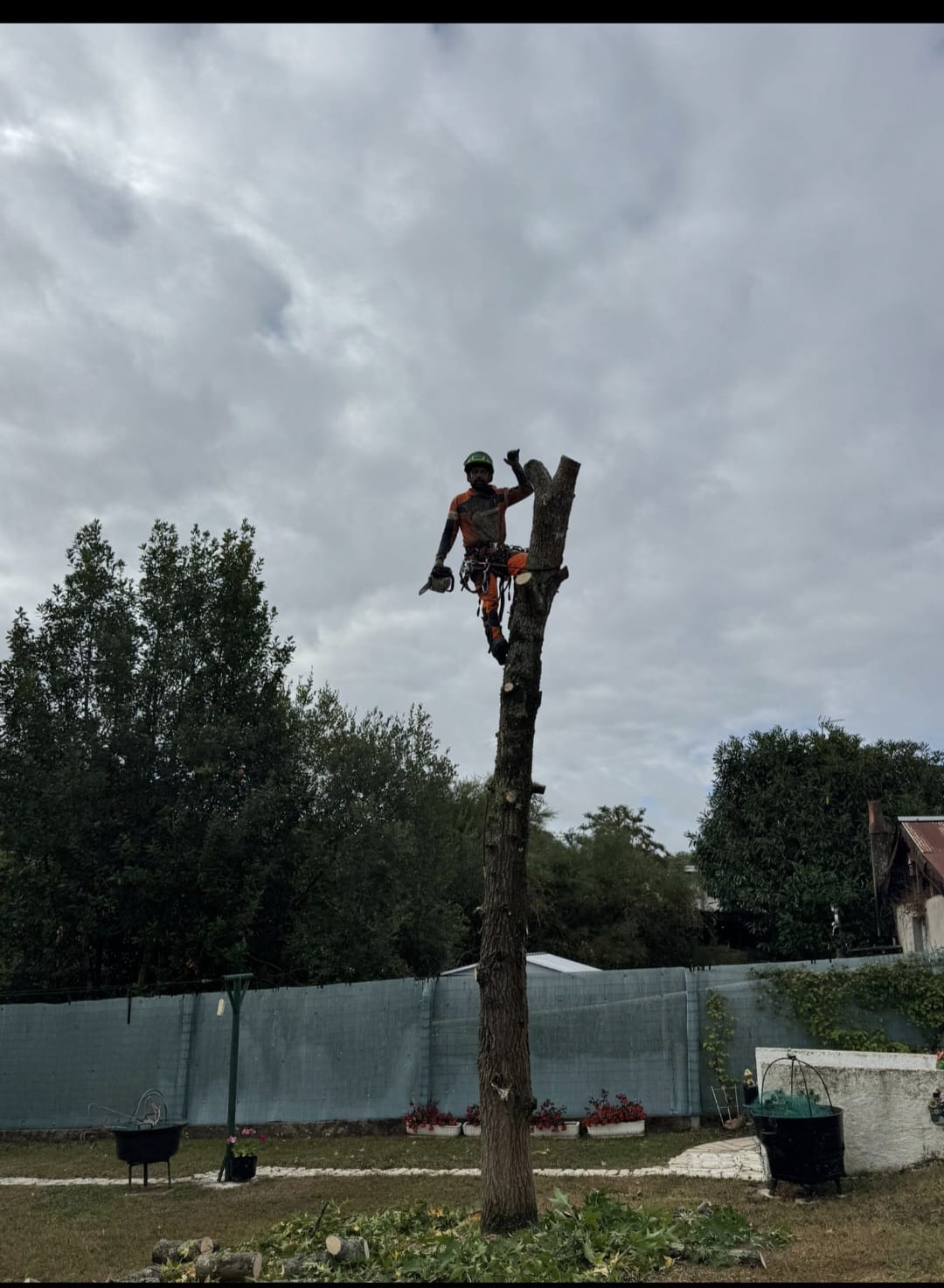 Mickaël Élagueur - Réalisation élagage d'arbre