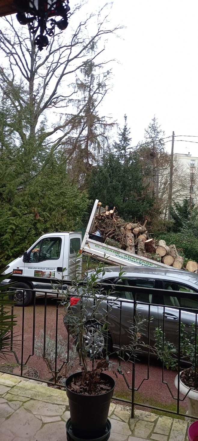 Mickaël Élagueur - Réalisation élagage d'arbre
