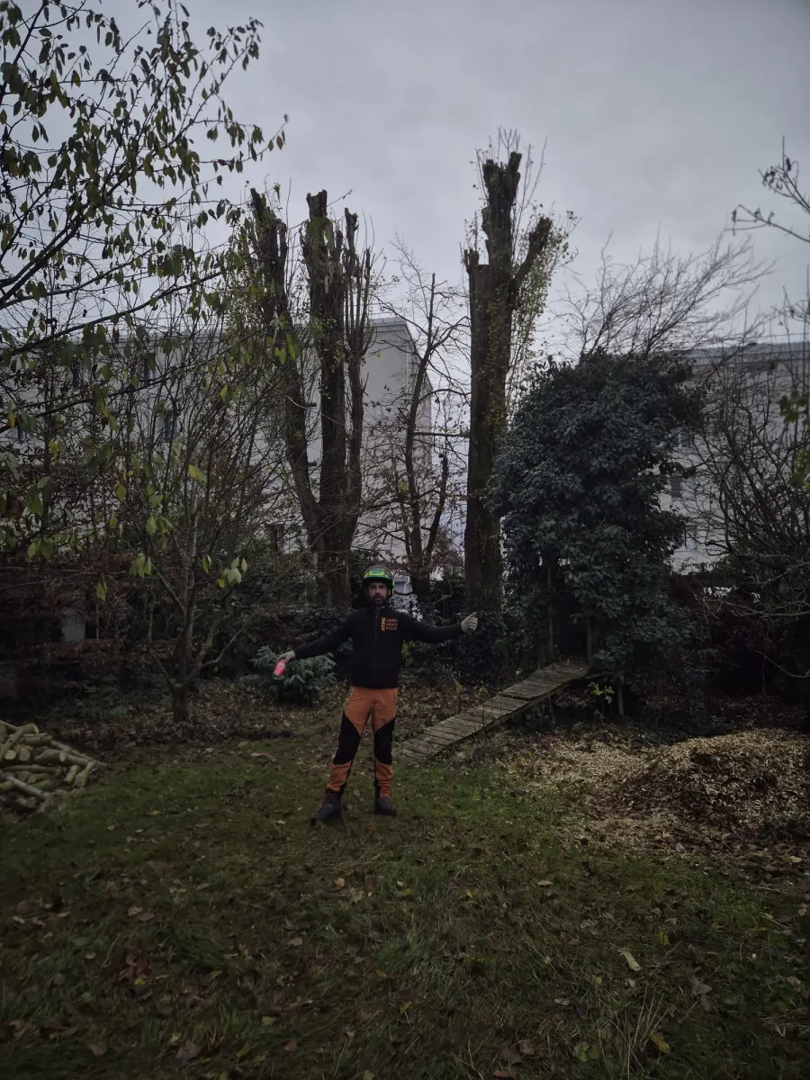 Mickaël Élagueur - Réalisation élagage d'arbre
