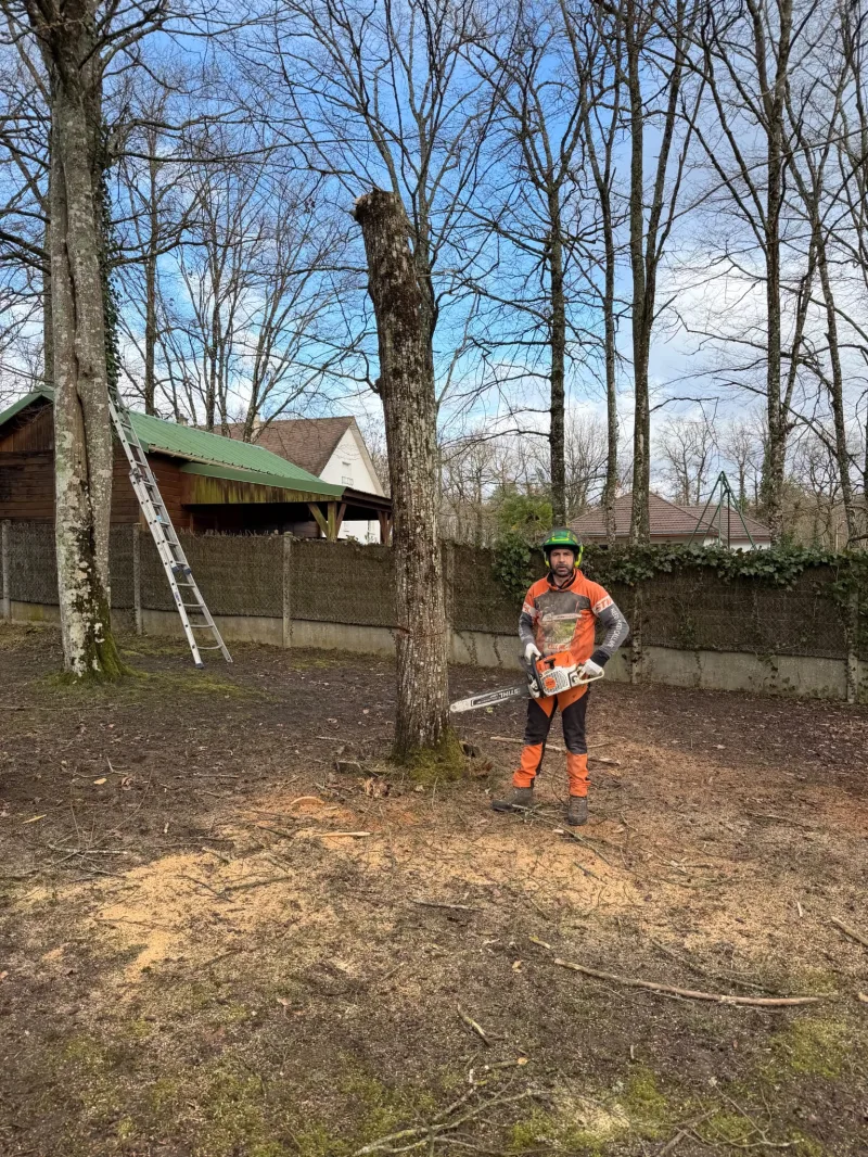 Remise en état après incidents végétaux ou climatiques