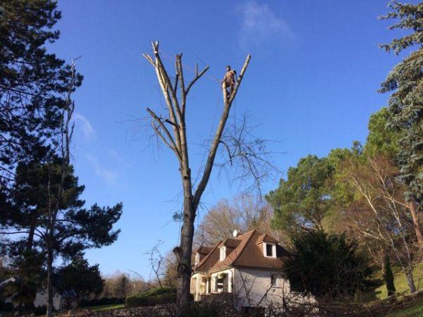 Élagage et abattage d'arbres à Chambray-lès-Tours